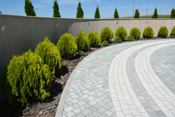 Best Best Driveway Pavers  in Drexel Heights, AZ